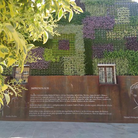 Acogedor Y Moderno Estudio En Capuchinos Malaga Ngoại thất bức ảnh